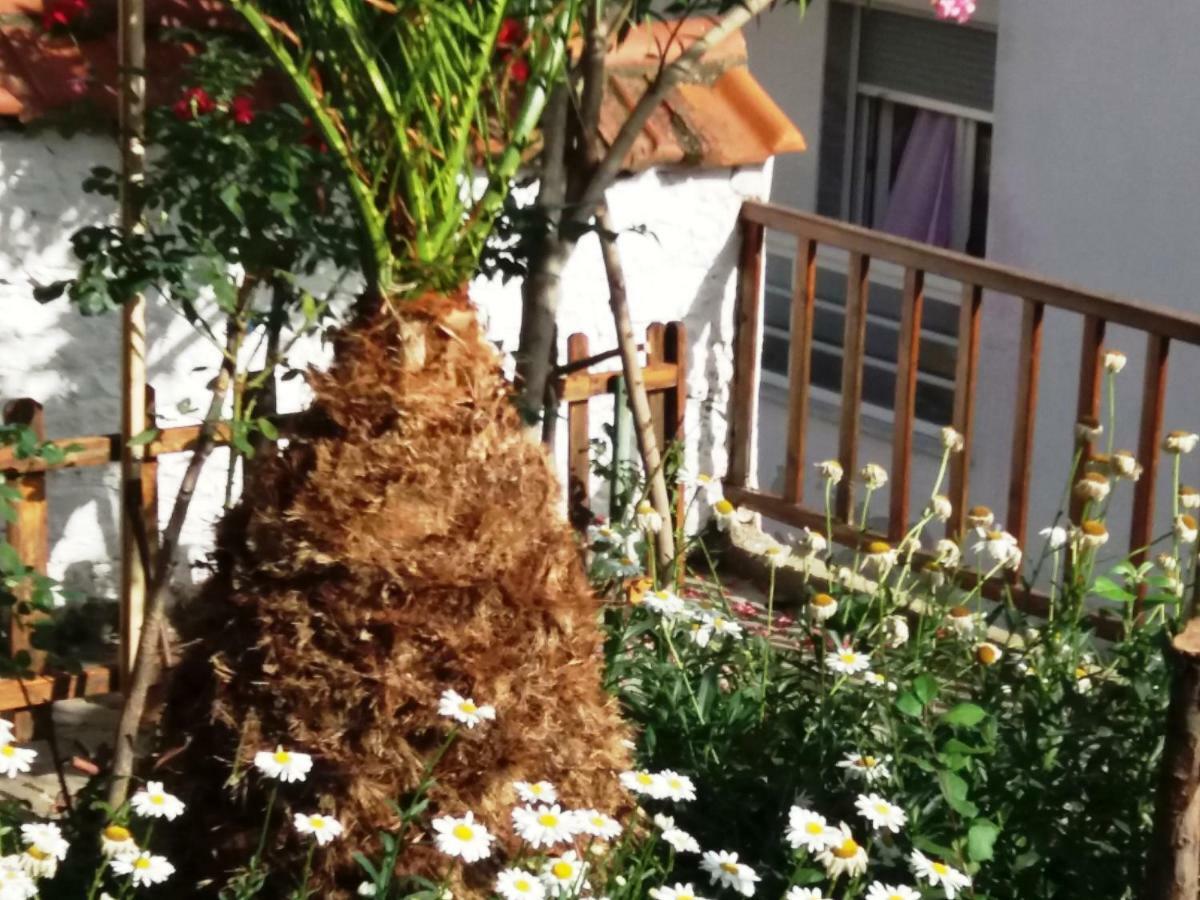 קאבאלה Traditional House Paschalis מראה חיצוני תמונה